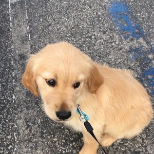 Meet your Posher, Clay